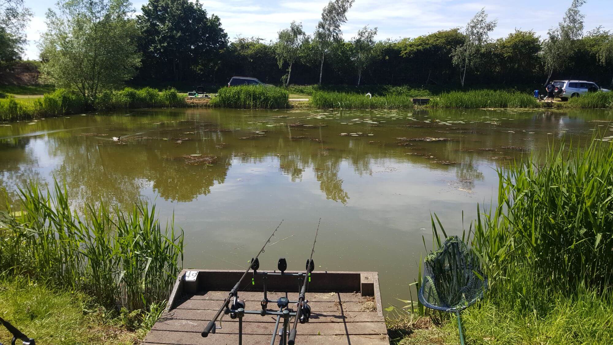 Peg 49 17 March 2020